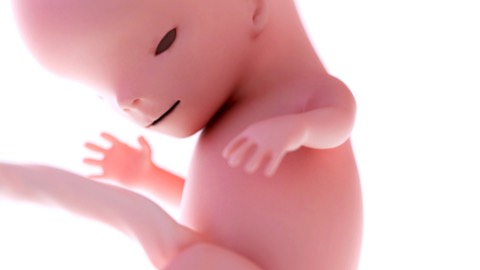 First hiccups in the womb