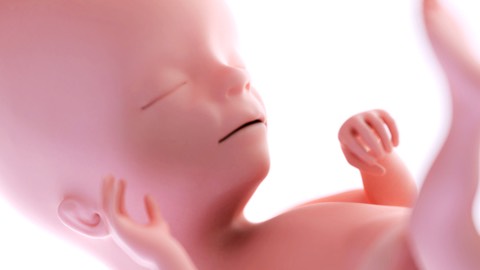 Lung and heart development