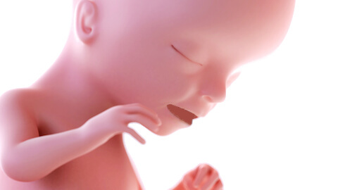 Зевота в животике