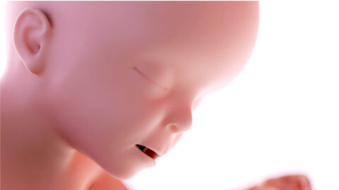 Week 23 ultrasound: What to see