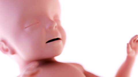 Brain waves and what they mean