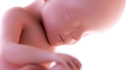 Is your baby dreaming?