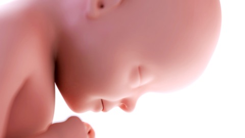 Eyes learning to focus