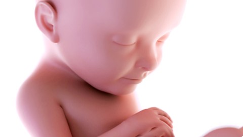 The five senses at work