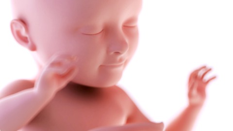 Baby’s skin development