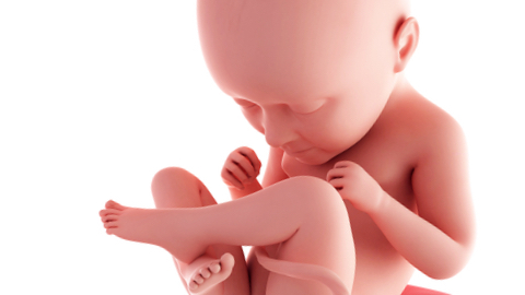 Preparing for outside life