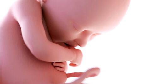 Digestion: Finishing touches