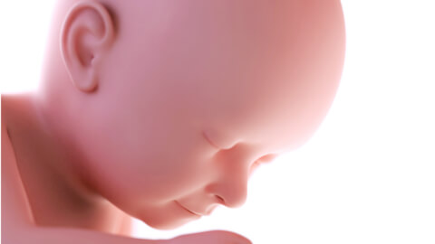 How’s the head doing?