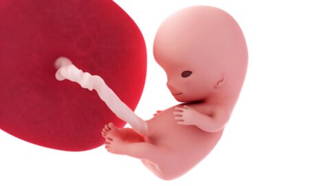 Baby development at week 9