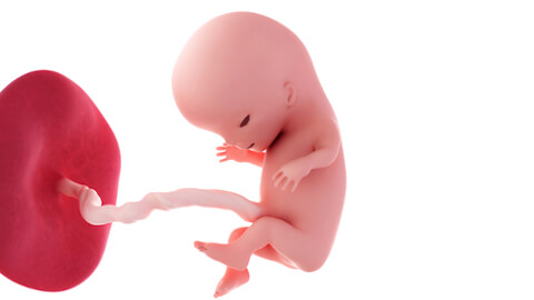 Baby development at week 11