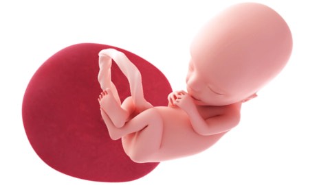 Baby is completely formed