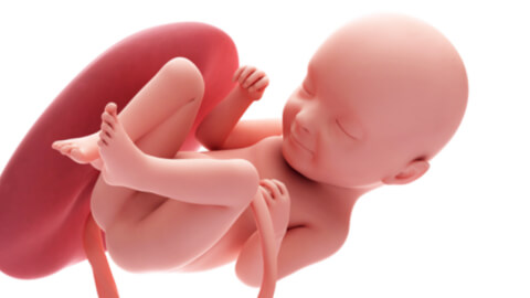 All organs are well formed