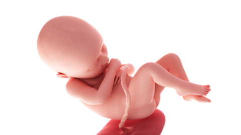 Baby development at week 36