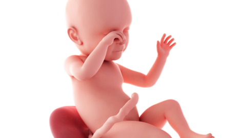 Baby development at week 39