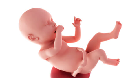 Baby development at week 40