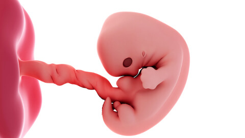 Baby development at week 6