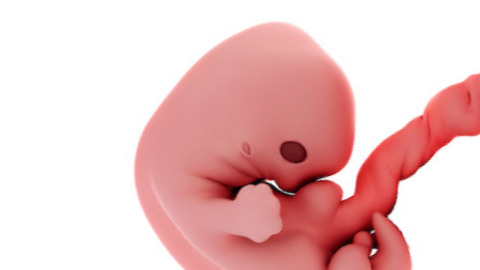 Your baby’s hands and feet