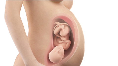 First breath of life