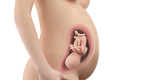 On to the fetal position