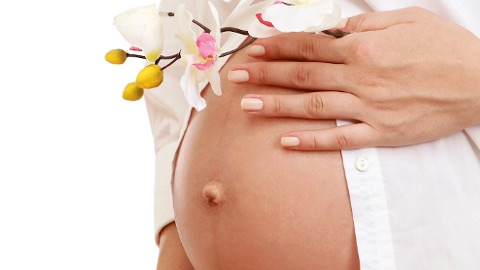 Изменения пупка